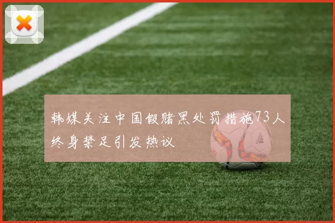 韩媒关注中国假赌黑处罚措施73人终身禁足引发热议