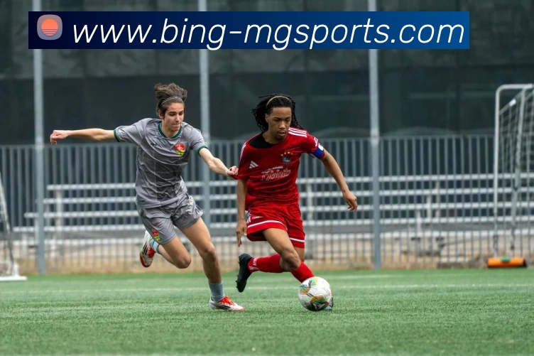 企业概况